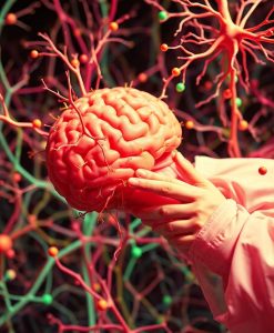 Researchers grow 400+ brain cell types—a leap for Alzheimer’s and Parkinson’s research