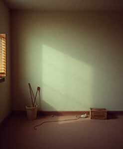 Habits In 20s, 30s Affect Later Heart Attack Risk - AI Generated Image