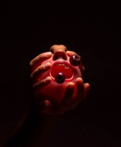 Rare desert berry could transform diabetes treatment - AI Generated Image