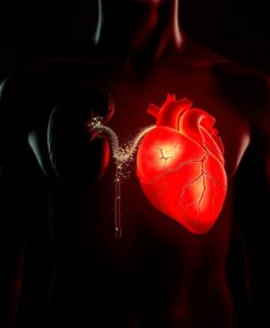 Finally explained: Why kidney disease is so deadly for the heart - AI Generated Image