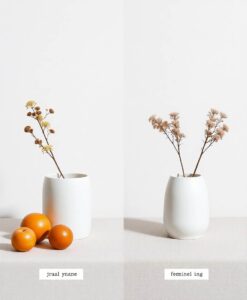 The Influence of Grammatical Gender on Object Conceptualization Is Weak and Language‐Dependent - AI Generated Image