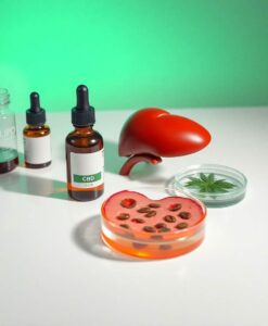 Cannabis compounds CBD and CBG may help reverse fatty liver disease, study finds - AI Generated Image