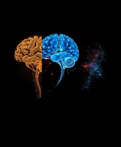 Explanation, scope, and perspective: sources of schismogenesis in consciousness science - AI Generated Image